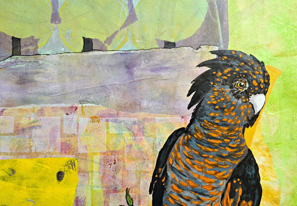 This art work was a finalist in the Lethbridge Small Scale Art Award 2024.
The Black Cockatoo was created using acrylic paint and for the background, Suanne used acrylic, collage paper and mixed media. 
