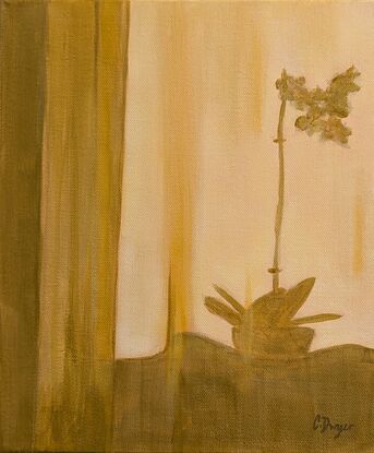 monochromatic golden still life interior plant shadow