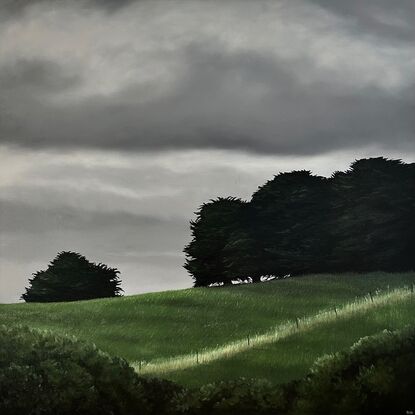 Green farmland hill with pine trees and a fence under a grey cloudy sky.