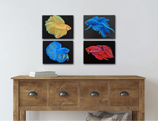 Four oil paintings of graceful blue, red and gold Siamese Fighting Fish, or Betta Fish on a black painted background. 