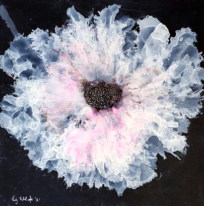 A single white and pink delicate flower on black nara paper done with ink.