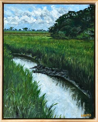 Grasslands and water in Mount Pleasant near Charleston, South Carolina, USA. 