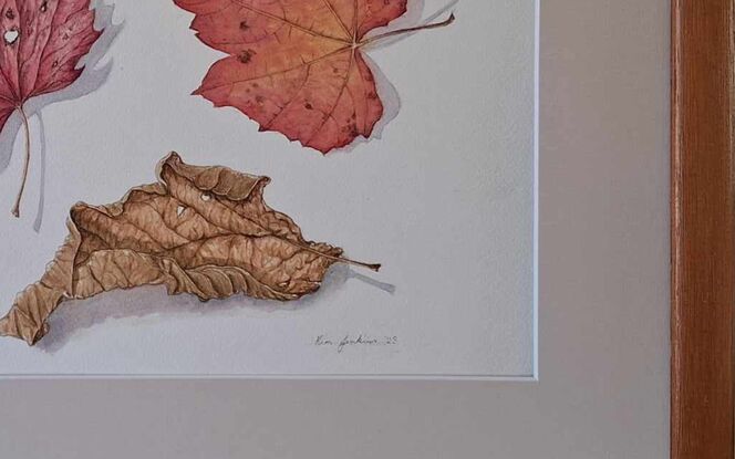 Three autumn leaves  