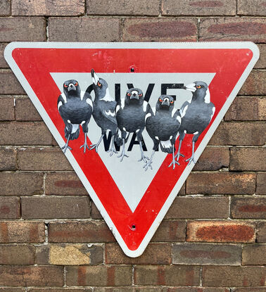 The Australian magpie is an icon . The call of a magpie can signal the feeling of home, and to have them around is considered good luck.
My Badmagpie series is an attempt to highlight the value of these treasured natives who are part of our Aussie scenery and synonymous with the Australian landscape. 
This painting, on a GIVE WAY sign titled GRAVITAS (seriousness and importance of manner, causing feelings of respect and trust in others) seeks to relay a mutual respect between us and these feathered beauties. 
The retired street sign is a nod to our urban environment and the adaptability of the magpie. Please note,  the street sign has been previously in use and has signs of its history, a few marks and a patina that relays its time in the street. 