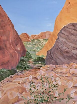 Inspired by a trip to Kara Tjuta and the awe inspiring rock formations and desert flowers. Australiana desert landscape - The Olga’s. 