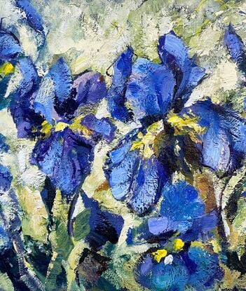 Blue irises 