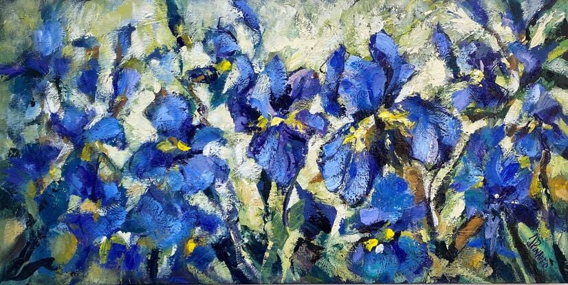 Blue irises 