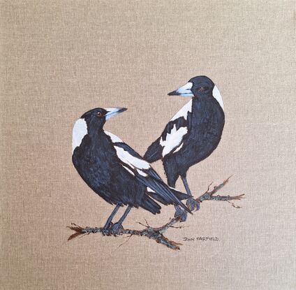 Two magpies eyeing one another