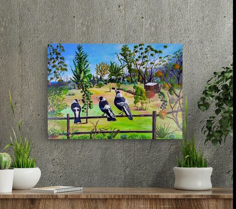 with a backdrop of the beautiful Blue Mountains National Park and a lovely garden with lots of shrubs and gum trees  and a shed, has two Australian Magpies sitting on a fence with another one just about to land with two of them singing their song