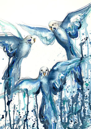 Artwork painting of blue Budgies flying by Sydney artist Leni Kae