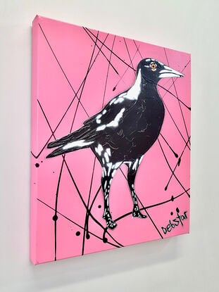 cheeky Australian Magpie Pink Pop