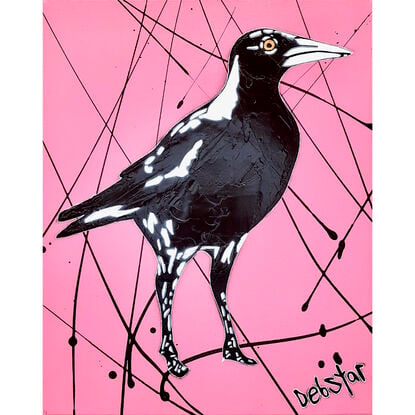 cheeky Australian Magpie Pink Pop