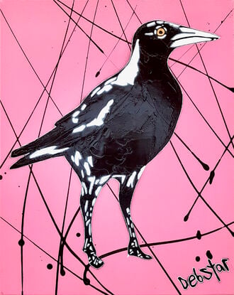 cheeky Australian Magpie Pink Pop