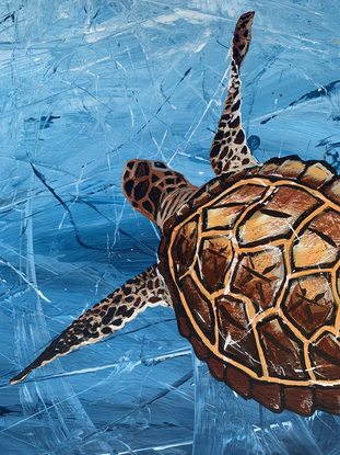 2 ochre coloured sea turtles in blue ocean