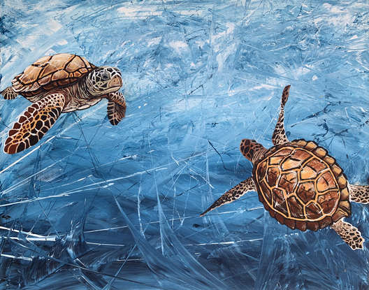 2 ochre coloured sea turtles in blue ocean