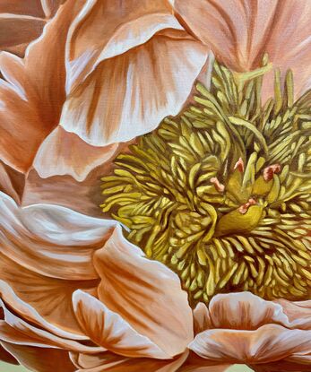 Beautiful orange/pink toned Peonies on a pistachio toned background oil painting by Amanda Cameron.