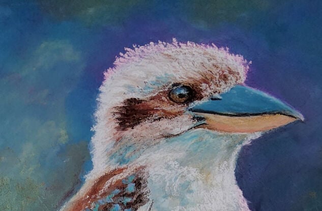 a beauty of an Australian native bird of the kingfisher family is our Kookaburra which every now and then bring a smile to ones face, hearing their laughter