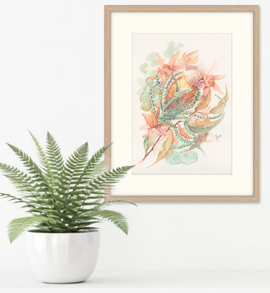 Watercolour painting of a Banksia and Leucodendrons