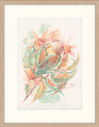 Watercolour painting of a Banksia and Leucodendrons