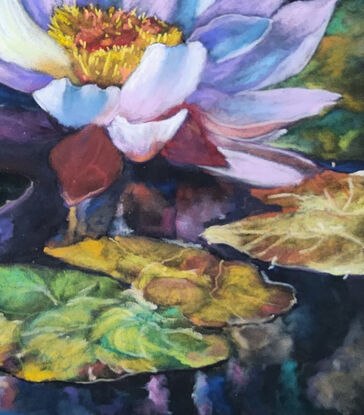 surrounded by a background of indeterminate dark colours is a flowering waterlily, seemingly glowing in various pastel colours, popping up out of the water