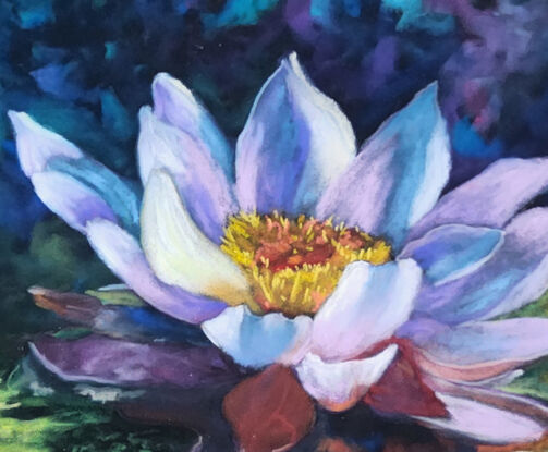 surrounded by a background of indeterminate dark colours is a flowering waterlily, seemingly glowing in various pastel colours, popping up out of the water