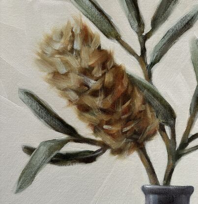 Still Life with Banksia
