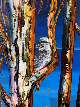 Several colourful gum tree trunks, a Kookaburra sitting in the tree with some leaf litter and twigs a lovely deep maroon with pops of green fading light blue upward to a bright blue sky 