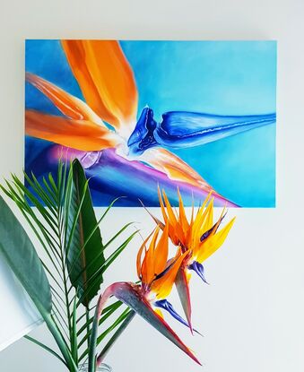 Bird of Paradise flower on blue background