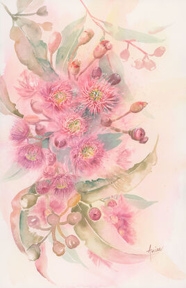 Watercolour painting of large atmospheric pink gum blossoms and leaves