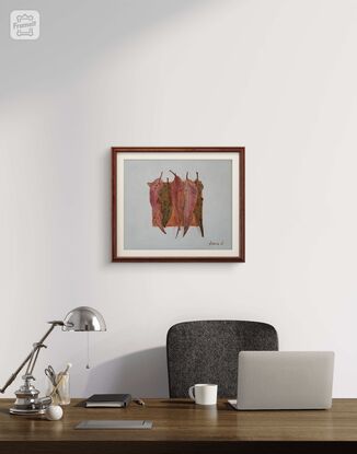 Six decaying eucalyptus leaves placed on a piece of cardboard against a white background.