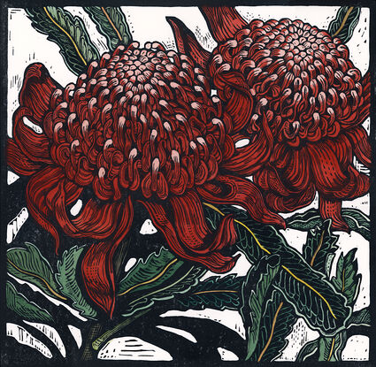 Waratah flowers