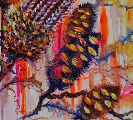 Fluoro pastels on background and rustic native Banksia Pods and flowers.