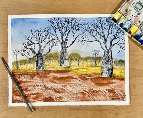 Boab Trees on red earth with blue sky and distant mountain and scrub part of an Australian landscape 