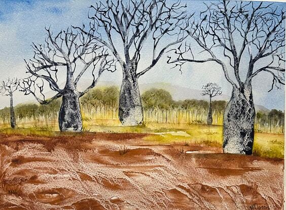 Boab Trees on red earth with blue sky and distant mountain and scrub part of an Australian landscape 