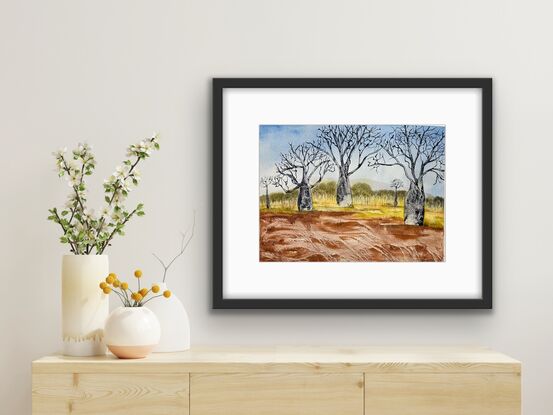 Boab Trees on red earth with blue sky and distant mountain and scrub part of an Australian landscape 