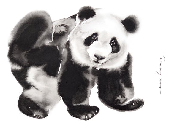 A panda strikes a playful pose, its back foot elevated in a charming display of confidence.