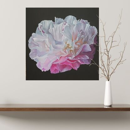 A single white and pink peony on a black background