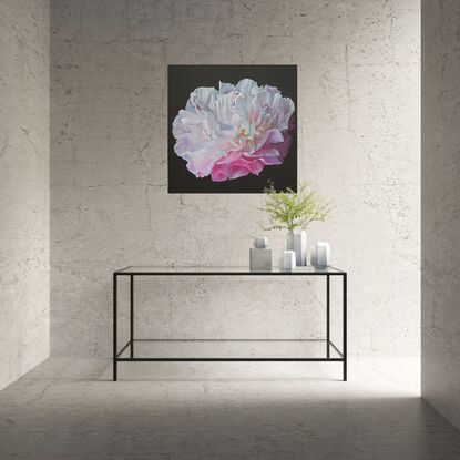 A single white and pink peony on a black background