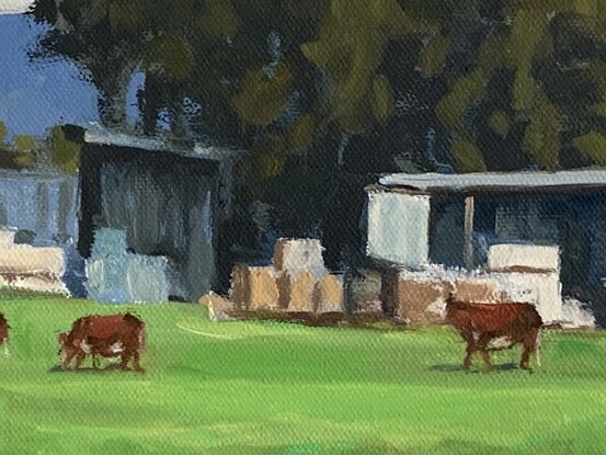 A rural scene with cows grazing and farm sheds.