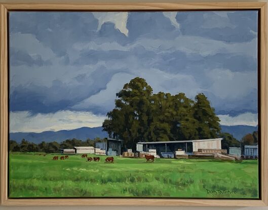 A rural scene with cows grazing and farm sheds.