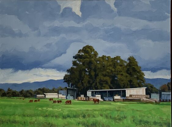 A rural scene with cows grazing and farm sheds.