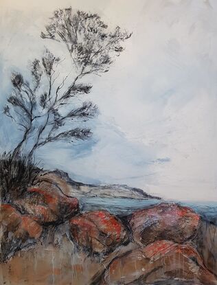 A seascape of the the Bay Of Fires in Tasmania with a tree and clouds