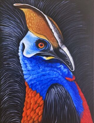 A beautiful majestic bird native to Australia, this cassowary is brightly coloured on a black background. It has piercing eyes that follow you around the room. The main colours are the primary colours of blue, red and yellow.