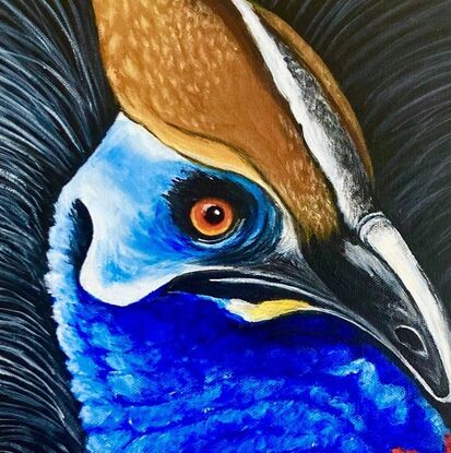 A beautiful majestic bird native to Australia, this cassowary is brightly coloured on a black background. It has piercing eyes that follow you around the room. The main colours are the primary colours of blue, red and yellow.