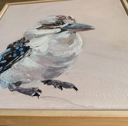 small framed kookaburra portriat