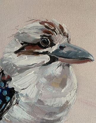 small framed kookaburra portriat