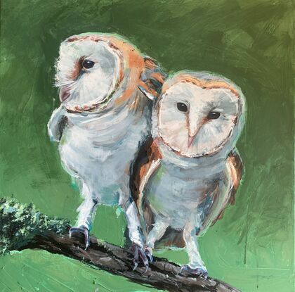 two barn owls on a branch