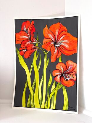 Orange Amaryllis lilies with charcoal background