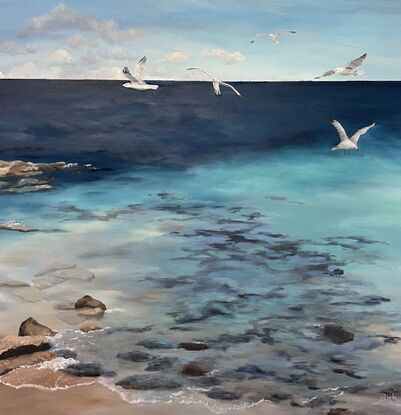 Seagulls fly over shallow water and rocks at the beach ona sunny day.