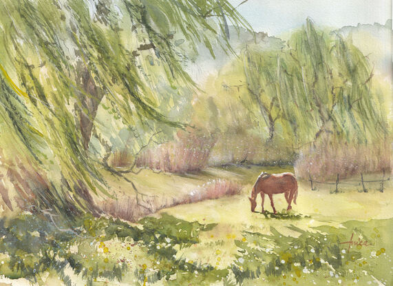 Serene scene of a horse grazing alongside a creek with Willow Trees either side, and with the biggest one in the front left hand corner.